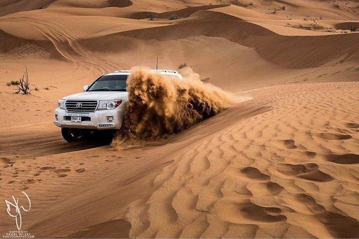 Arabian Dune Safari