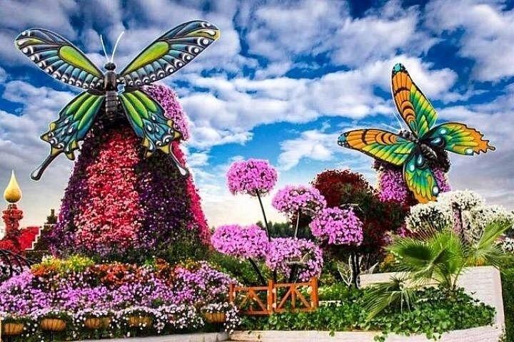 Visite de Dubaï à Miracle Garden avec billet