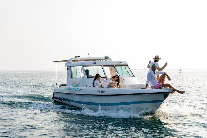 Island Hopping - Une expérience incroyable de 4 heures au départ de Salt Island - Bahrani Island