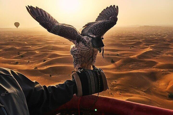 Incroyable Dubaï Beautiful Desert en ballon avec Falcon Show