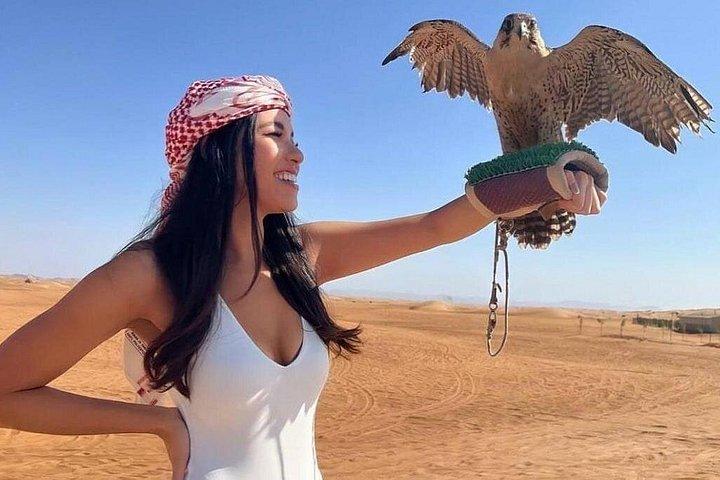 Safari dans un désert