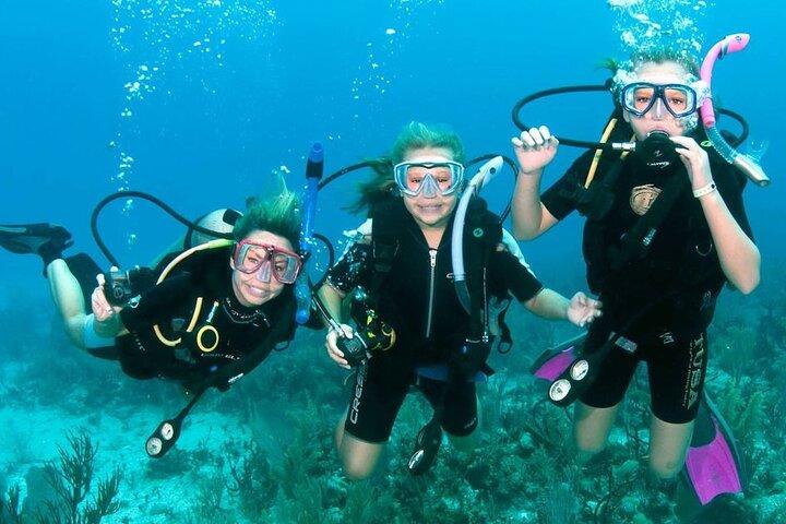 Fujairah : Cours de plongée sous-marine PADI Basic Scuba Diver