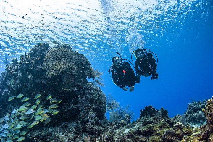 Fujairah : cours PADI Open Water Diver