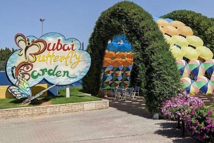 Dubaï Butterfly Garden Billet d'entrée seulement