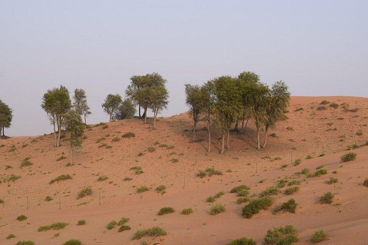 alentours