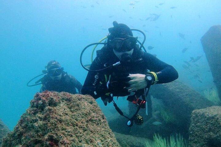 Plongée sous-marine de plaisance à Fujairah pour plongeur certifié