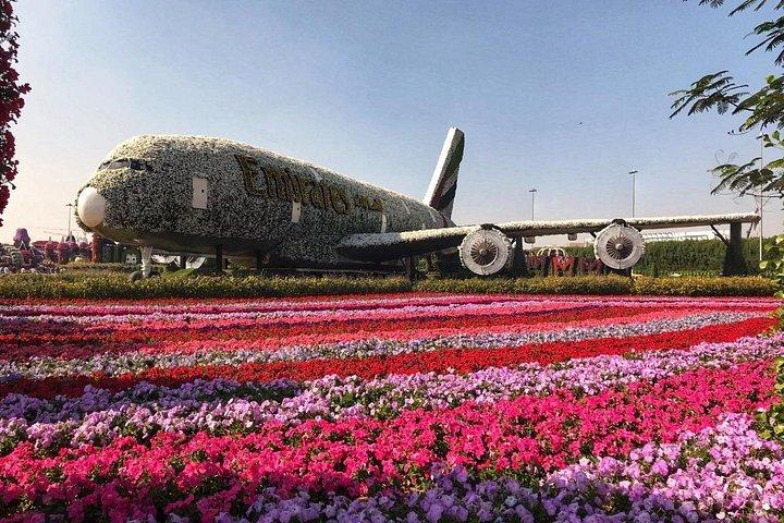 Billet d'entrée au Dubai Miracle Garden