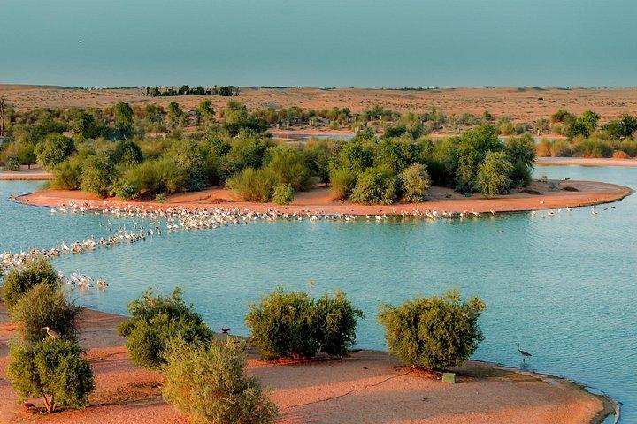 Depuis Dubaï : journée complète à Al Marmoom, lacs Al Qudra avec dîner