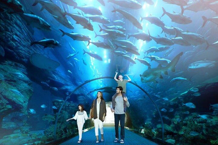 Billet pour l'aquarium et le zoo sous-marin de Dubai Mall