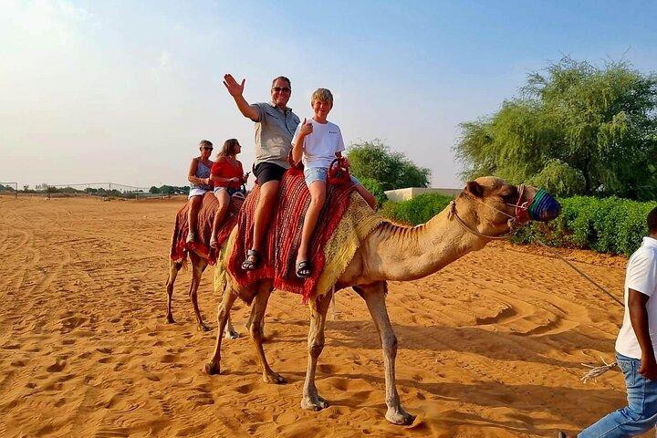 Safari à dos de chameau dans les dunes rouges