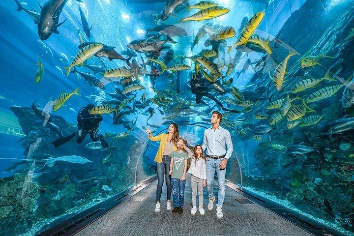 Aquarium de Dubaï avec diverses possibilités de rencontres avec les animaux et d'accès