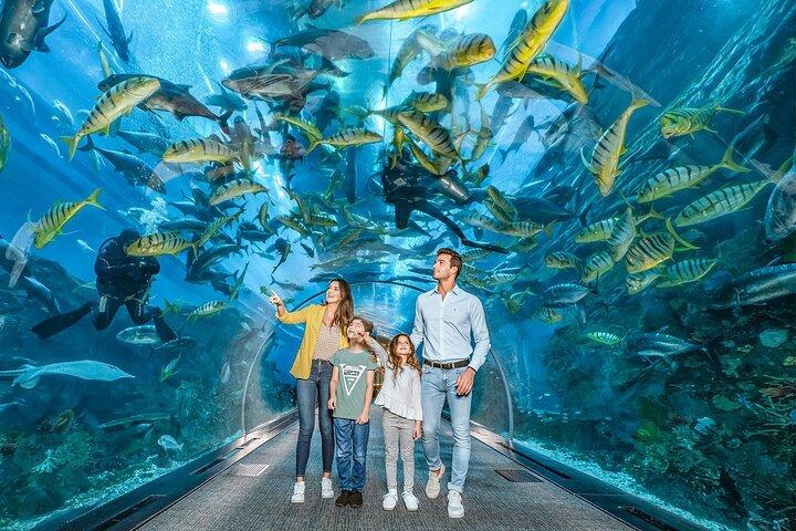Billets pour l'aquarium et le zoo sous-marin de Dubai Mall avec transfert