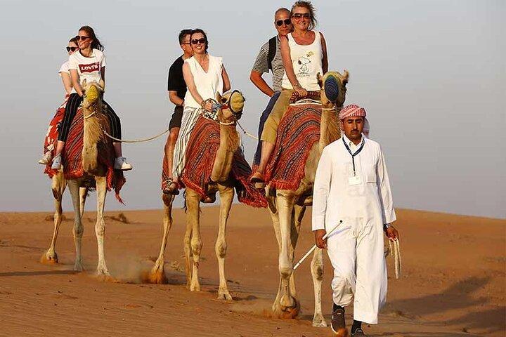 Safari matinal dans le désert avec balade à dos de chameau