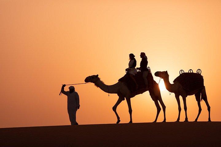 Caravane de chameaux au coucher du soleil