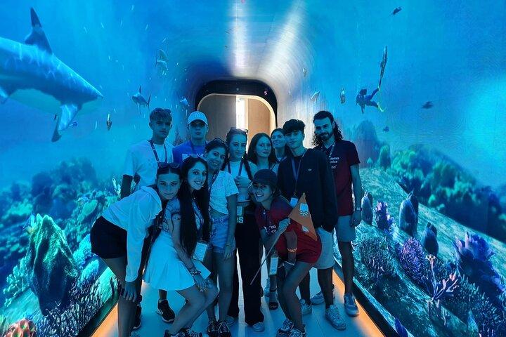 Billets pour l'aquarium et le zoo sous-marin de Dubaï au Dubai Mall