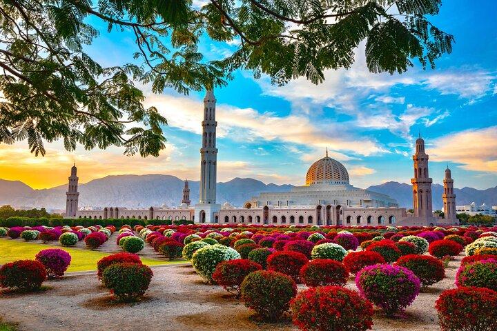 Visite de la ville de Mascate au départ de Dubaï avec visa gratuit et déjeuner omanais