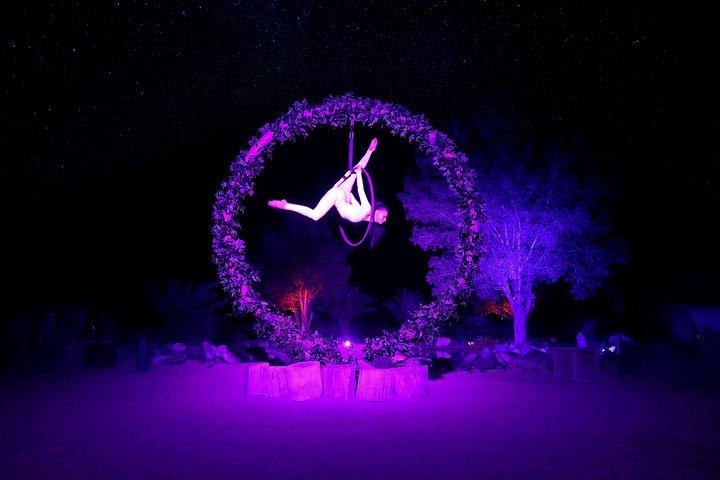 Spectacle d'acrobaties aériennes