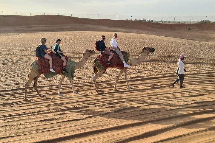 Balade à dos de chameau au coucher du soleil à Dubaï avec safari dans le désert