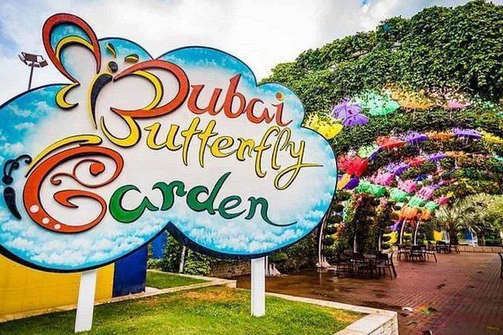 Billets pour le jardin des papillons de Dubaï avec partage de transferts