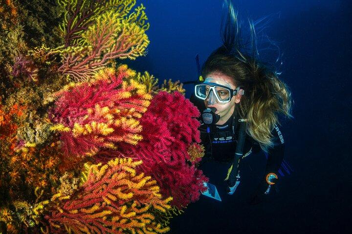 Aventure de plongée sous-marine guidée à Jumeirah Dubai