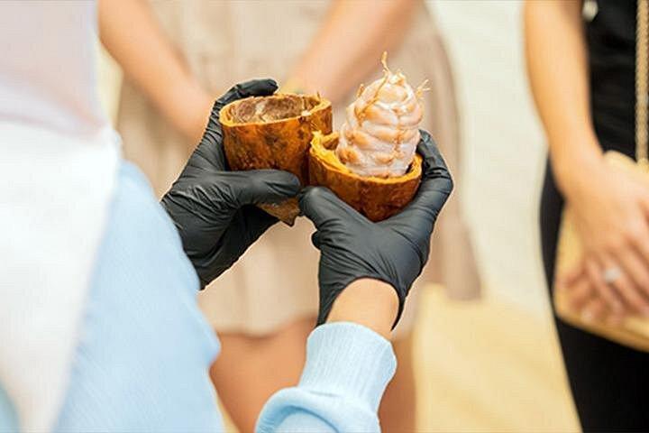L'expérience Chocolate Wonderland à Dubaï avec visite du site