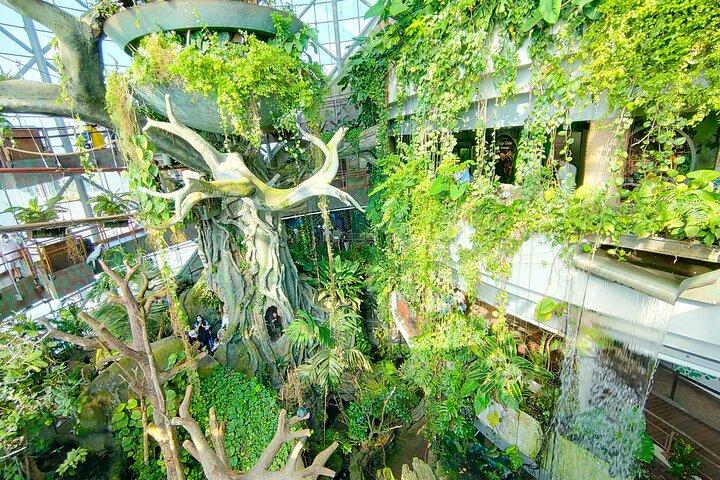 La planète verte Dubaï avec options