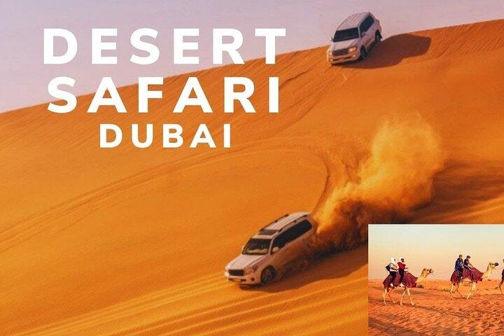 Excursion d'une journée complète en safari dans le désert à Dubaï