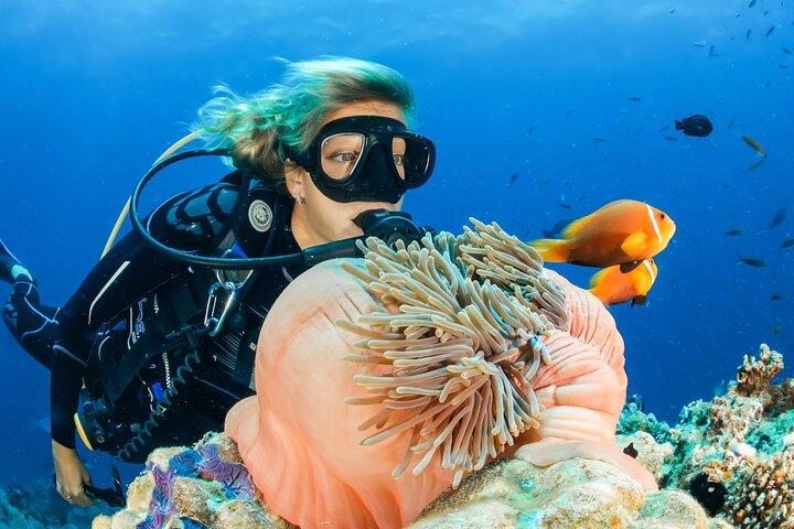 Dubaï Aventure de plongée sous-marine à Dubaï