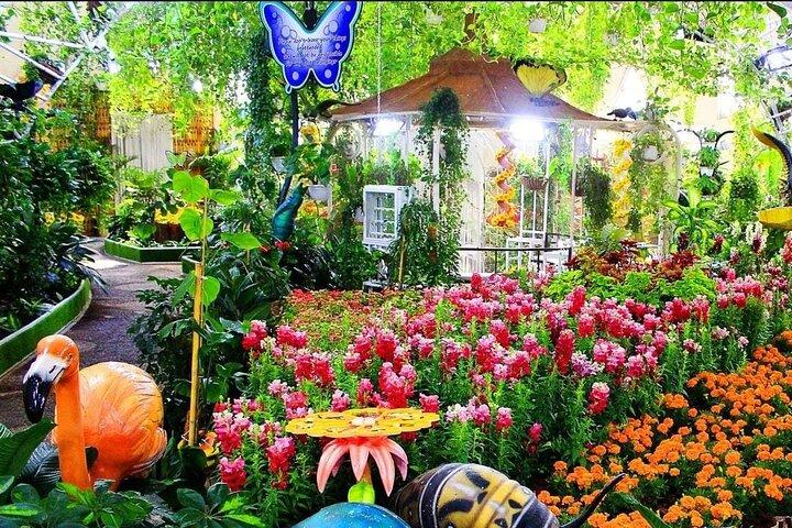 Visite du jardin des papillons de Dubaï avec service de transport facultatif