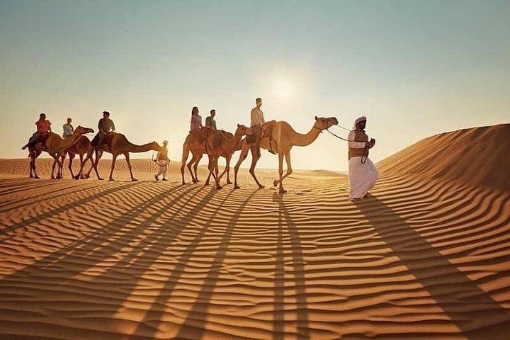 Camel Farm Experience Ride Feed et visionnement de courses en direct