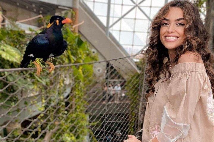 Dubaï : Billets d’entrée Green Planet avec transport en option