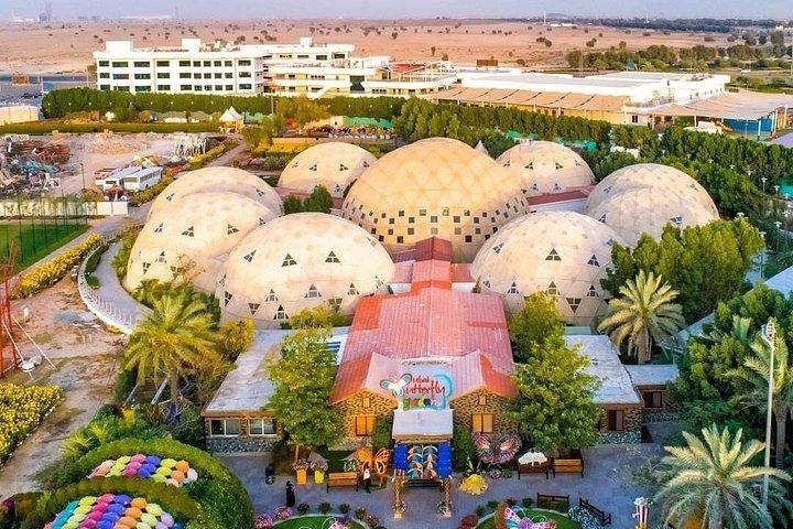 Jardin des papillons de Dubaï (Évasion dans la nature)