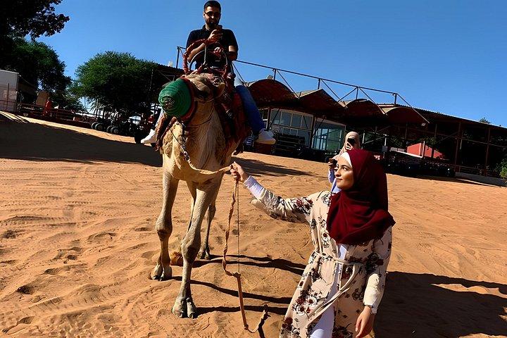Safari matinal dans le désert avec quad à Dubaï