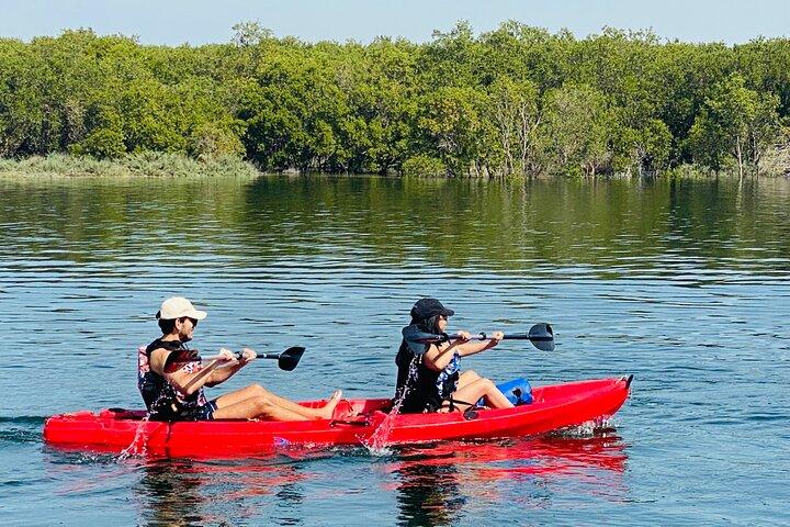 Visite guidée en kayak de deux heures dans Reem Central Park Abu Dhabi