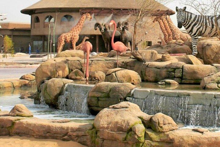 Dubaï Safari Park Bundle Ticket