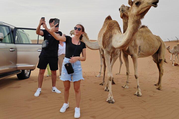 Safari privé dans le désert le matin depuis Dubaï