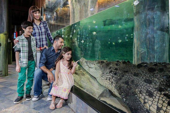 Duo ultime de Dubaï House of Hype Dubai Aquarium Access Pass