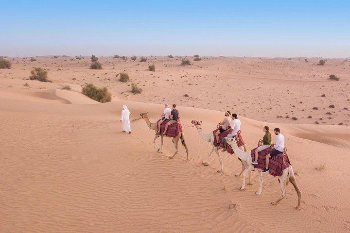 Dubai Frame et Desert Safari avec dîner combiné
