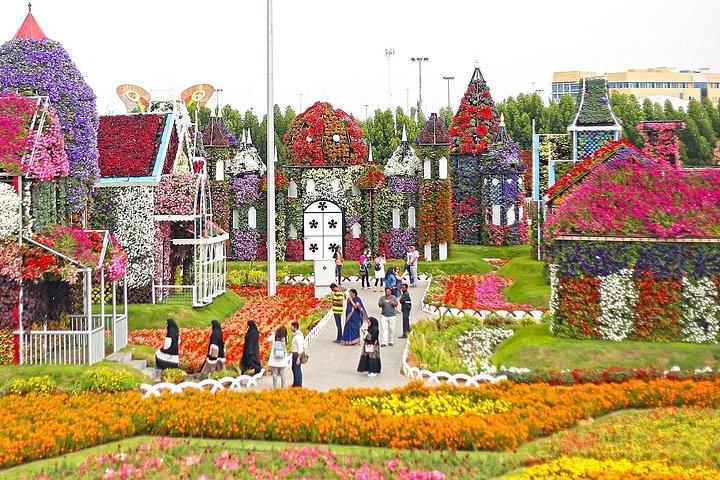 Visite privée du Palmier avec le Jardin Miracle