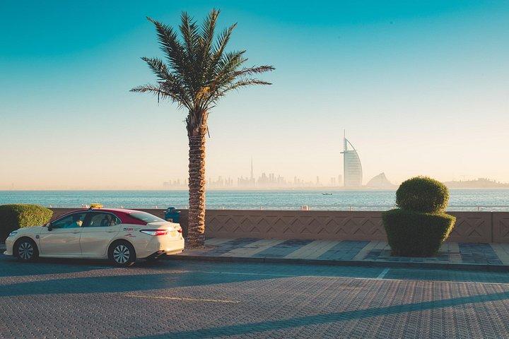 The Palm View