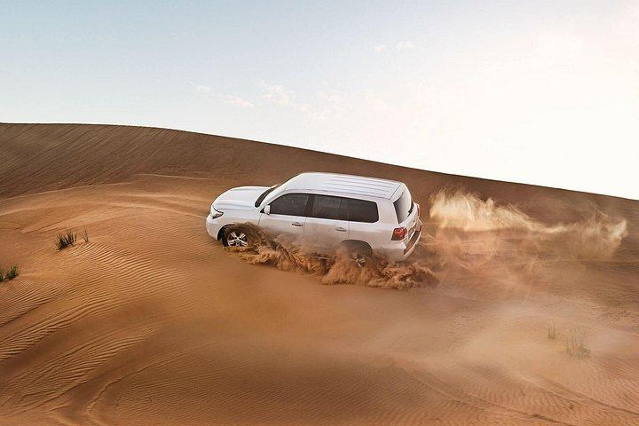 Dévastation des dunes