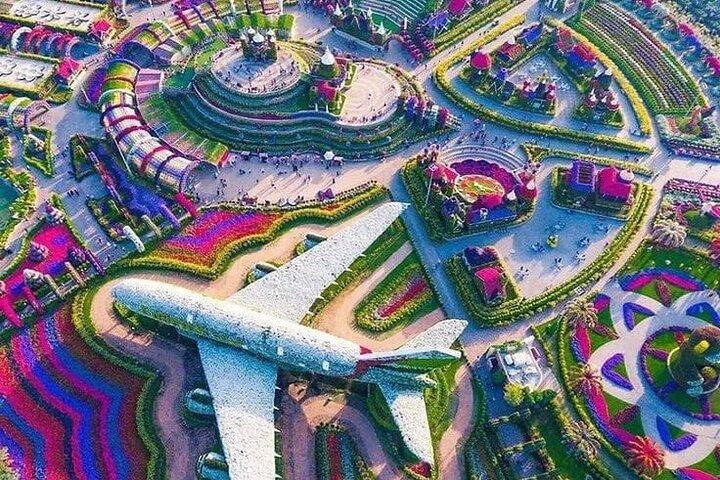 Visite du jardin miracle et du jardin lumineux de Dubaï