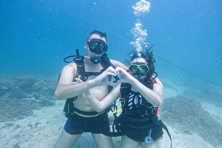 Cours PADI Discover Scuba Diving d'une journée complète sur l'île d'Al Dana