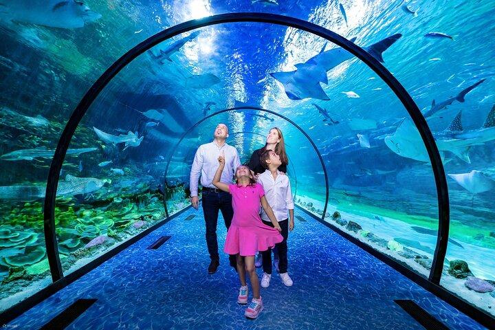 L'Aquarium National d'Abu Dhabi
