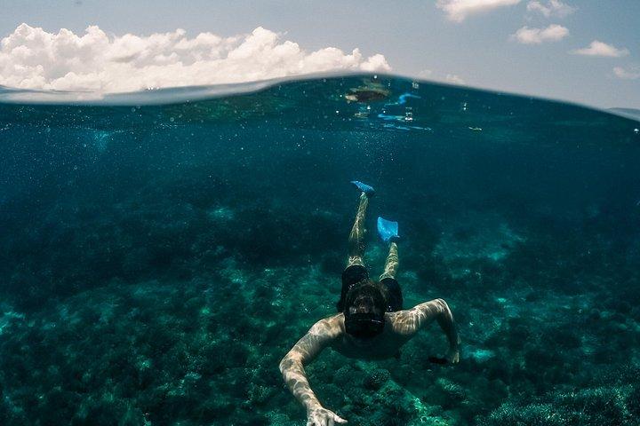 Dubaï: Plongée sous-marine Aventure