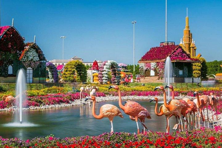 Visite du jardin miracle avec transferts privés
