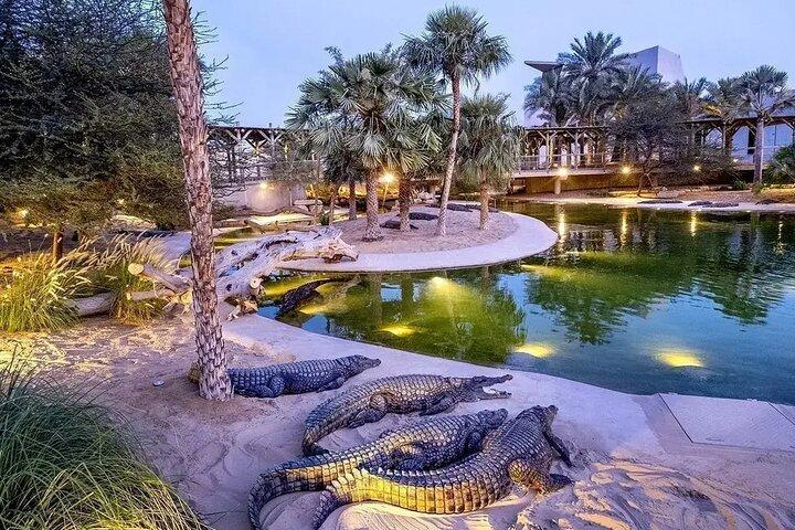 Billet pour le parc aux crocodiles de Dubaï avec transfert privé en option