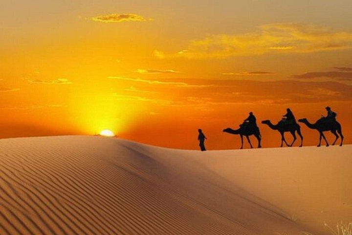 Safari matinal dans le désert de Dubaï