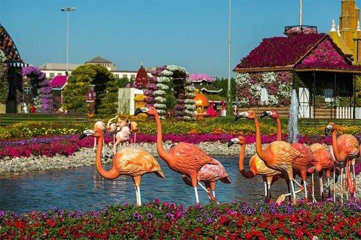 Billets coupe-file pour le Dubai Miracle Garden