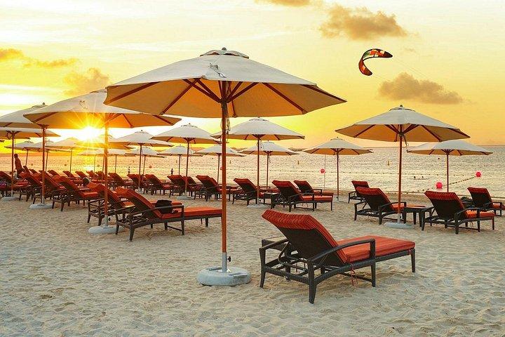 Transport privé sur la plage des îles de Dubaï